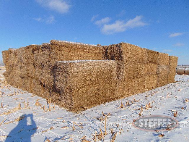 3x3x8 medium sq., alfalfa hay